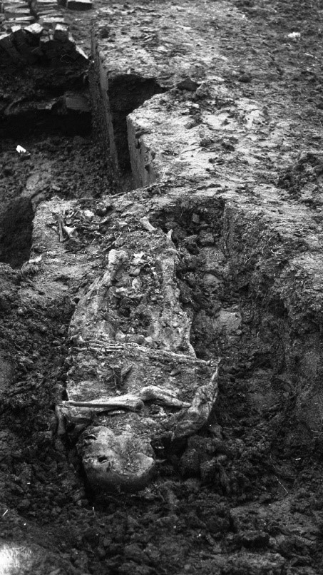 Abb. 10: Eine der bis heute erhaltenen Moorleichen ist der 1941 entdeckte Mann aus dem Lengener Moor, der zwischen 135 und 320 n. Chr. im Alter von 40 bis 50 Jahren verstarb.